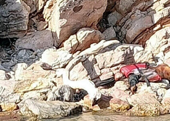 Bodrum'da can yelekli erkek cesedi bulundu