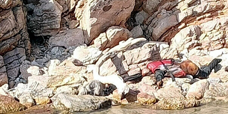 Bodrum'da can yelekli erkek cesedi bulundu