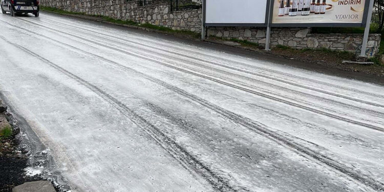 Bodrum'da görülen köpüğün nedeni belli oldu