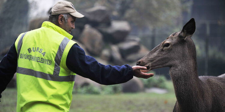 Bursa Hayvanat Bahçesi'nde kış uygulaması
