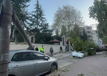 Bursa'da lodos; aydınlatma direği ile ağaç devrildi