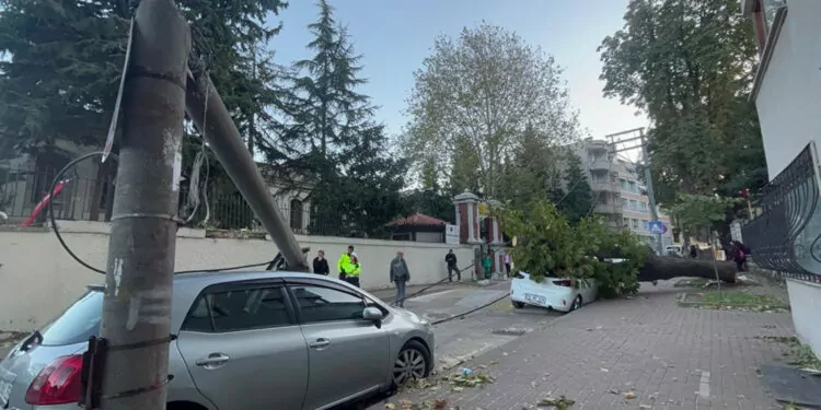 Bursa'da lodos; aydınlatma direği ile ağaç devrildi