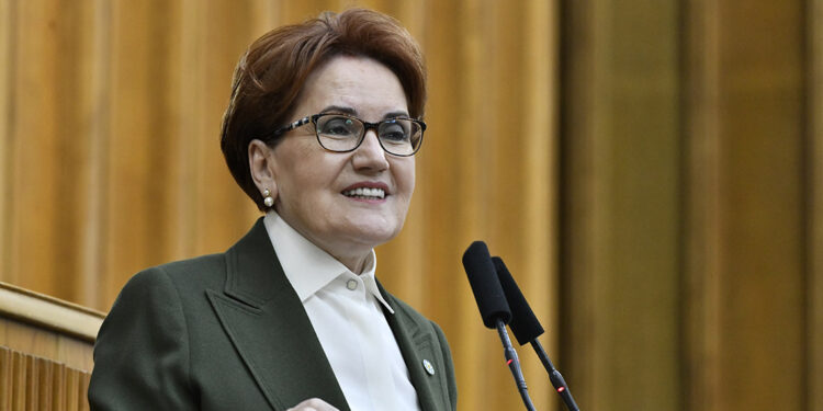 Carl Schmitt'in öğrencileri, anayasa değişikliği arayışına girdi