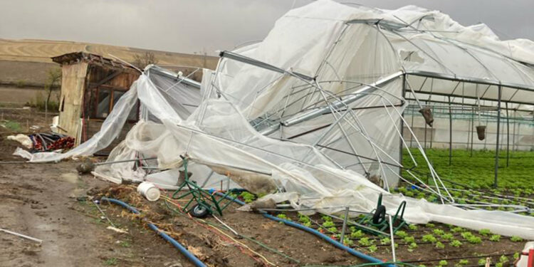 Çorum'daki fırtınada sera yıkıldı; sahibi yardım istedi