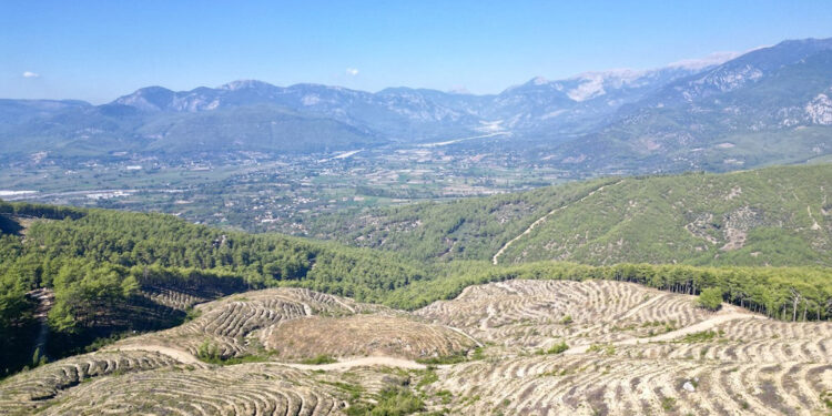EPAL Türkiye, 22 bin fidanı toprakla buluşturdu