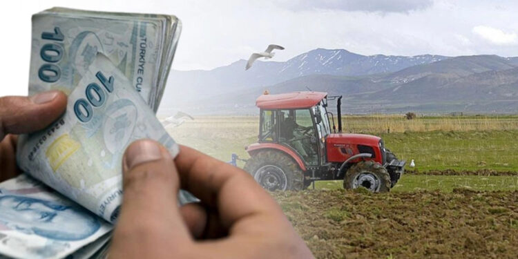 Ekimde tarım üretici enflasyonu aylık bazda geriledi