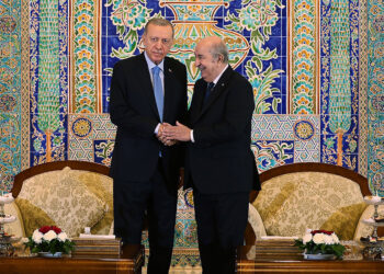 Erdoğan, Cezayir Cumhurbaşkanı ile bir araya geldi