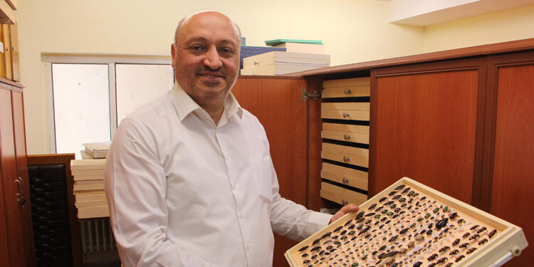 Evlere dadanan böcekler için önlem alınmalı