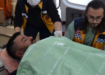 Hayvan pazarındaki kavgada 2 kardeş sırtından vuruldu