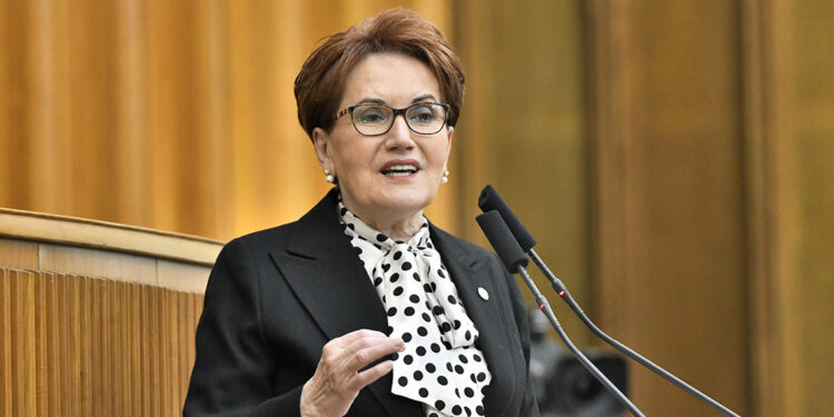 İYİ Parti, ittifaklara dayanıp yan gelip yatmak için kurulmadı