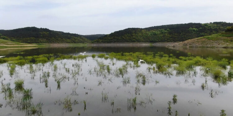 İstanbul'da barajlardaki doluluk oranı yükselişe geçti