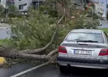 İstanbul'da fırtına; ağaç otomobil üzerine devrildi