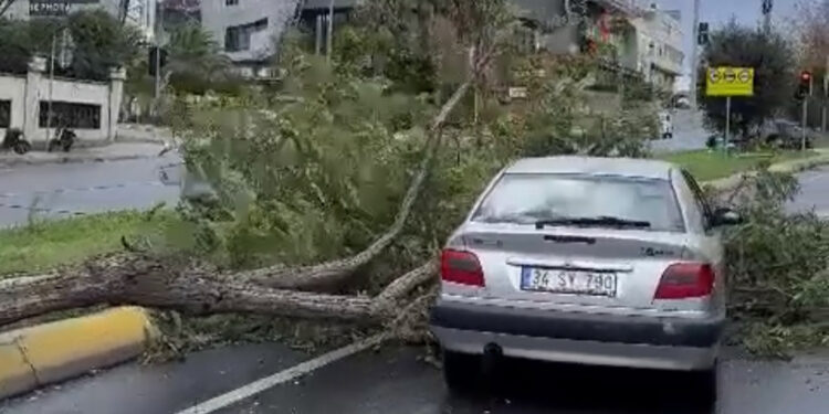 İstanbul'da fırtına; ağaç otomobil üzerine devrildi