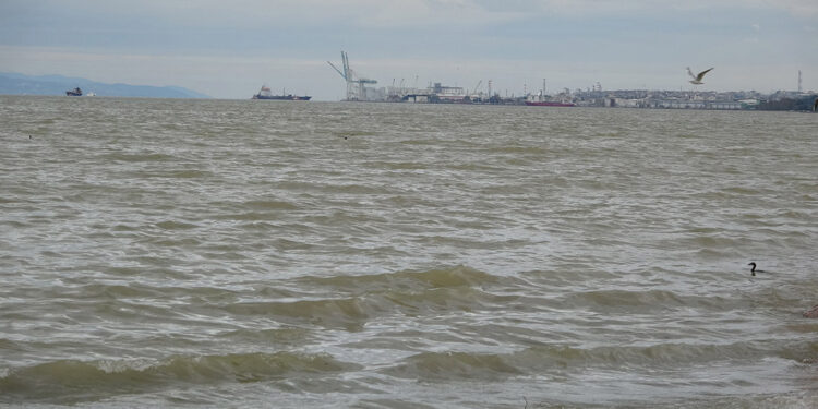 İzmit Körfezi'nin rengi değişti