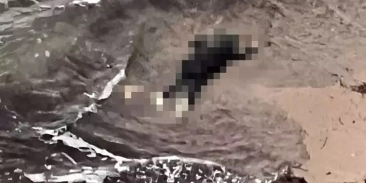 Kaçak göçmenleri taşıyan bot battı; 4 ölü, kayıplar var