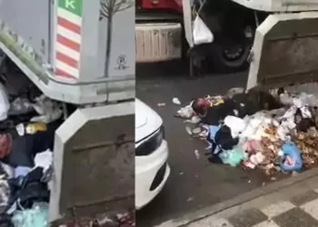 Kadıköy'de iki gün kaldığı çöp konteynerinden vinçle çıkarıldı