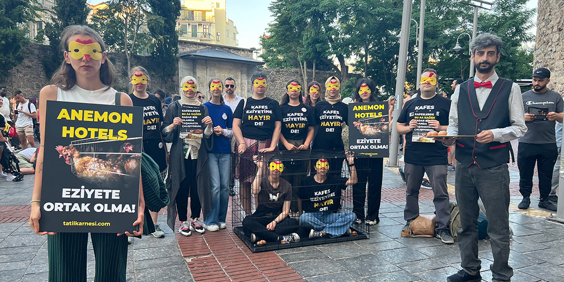 Kafes yumurtacılığı 'en' eziyetli üretim yöntemi