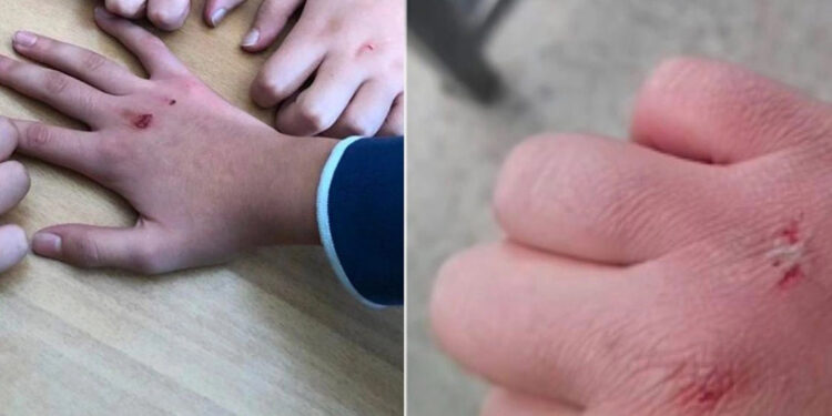 Kanlı para oyunu okullarda giderek yayılıyor