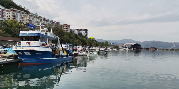 Karadeniz’de balık stoklarında çöküş var