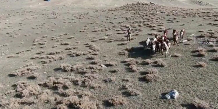 Kaybolan 30 inek, jandarma tarafından dron ile bulundu