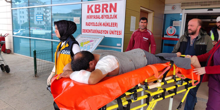 Köpeğin saldırdığı inşaat işçisi yaralandı