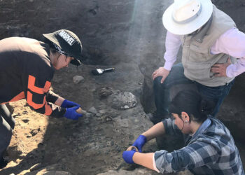 Kültepe'de, 4 bin 300 yıllık hasır bulundu