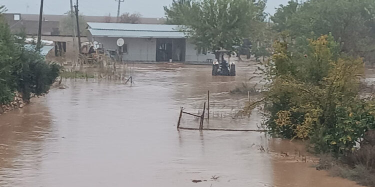 Mardin'de sağanak; 100 evi su bastı