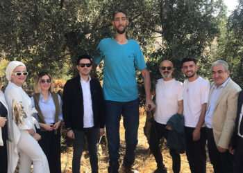 Mardin’de zeytin hasadı Sultan Kösen'in de katılımıyla başladı