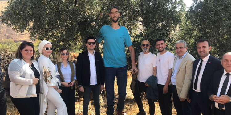 Mardin’de zeytin hasadı Sultan Kösen'in de katılımıyla başladı