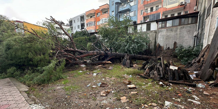 Muğla'da hortum çatıları uçurdu, ağaçları devirdi