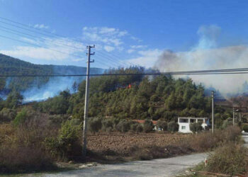 Muğla'nın Yatağan ilçesinde orman yangını