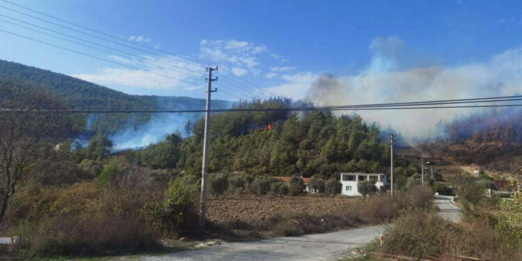 Muğla'nın Yatağan ilçesinde orman yangını