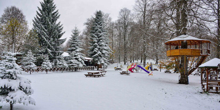 Ordu'da kar manzaraları