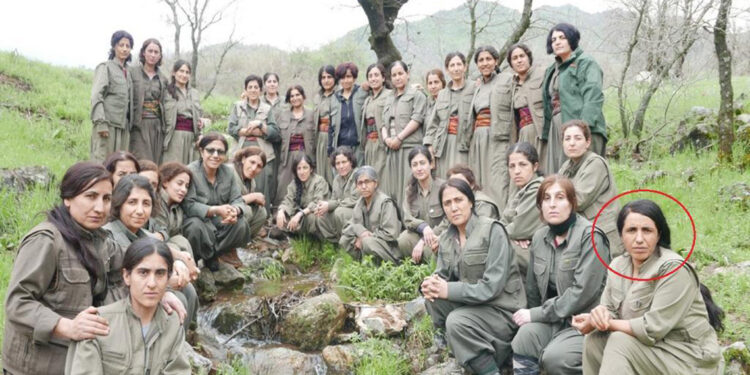 PKK'nın toplumsal alan sorumlusu etkisiz hale getirildi