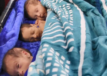 Şifa hastanesinden 28 bebek Mısır’a nakledildi