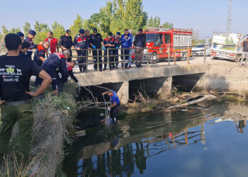 Sulama kanalında kadın cesedi bulundu