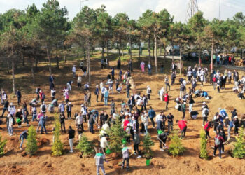 Sultangazi'de Cumhuriyet'in 100'üncü yılında 1923 fidan dikildi