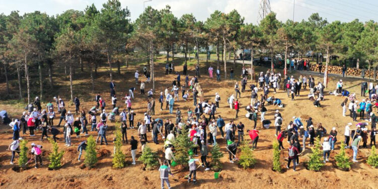 Sultangazi'de Cumhuriyet'in 100'üncü yılında 1923 fidan dikildi 