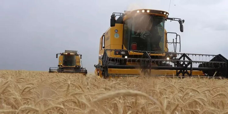 Tarımsal amaçlı örgütler derecelendirilecek