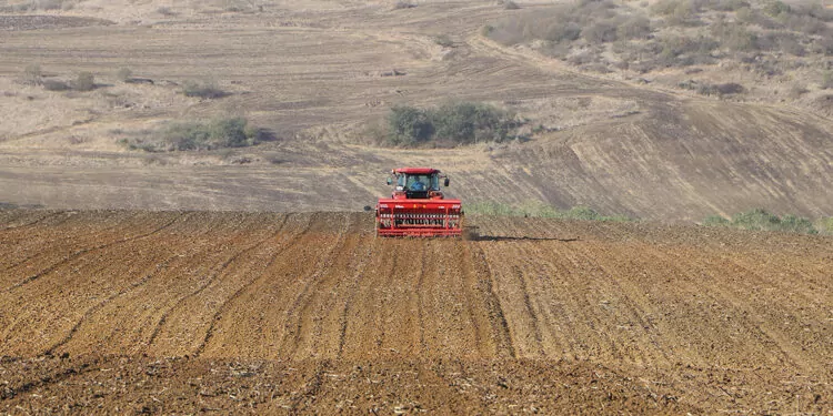 Tekirdağ'da yağmurun ardından buğday ekimi başladı