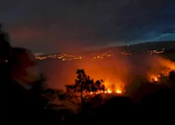 Trabzon'da orman yangını; 100 dönüm alan yandı
