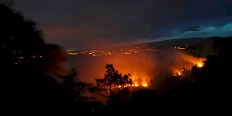 Trabzon'da orman yangını; 100 dönüm alan yandı