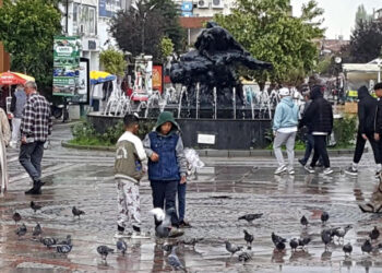 Trakya'da yağmur etkili oldu