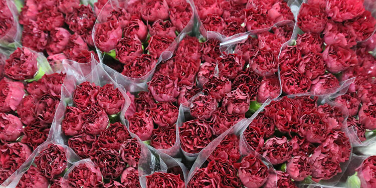 Türk karanfilinden 2 milyon dolarlık gelir