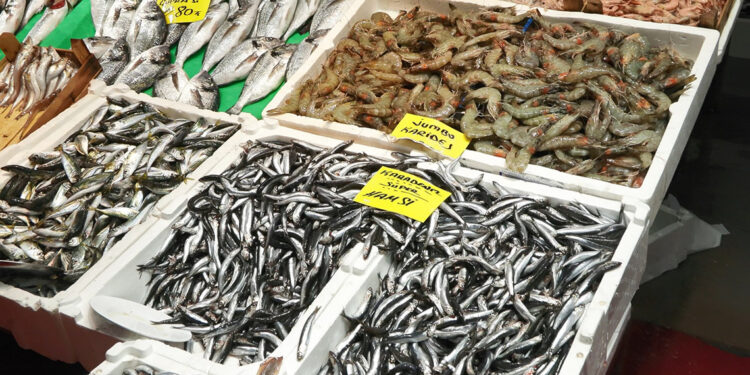 Ya elek sistemi yasaklanacak ya balıkçılık durdurulacak