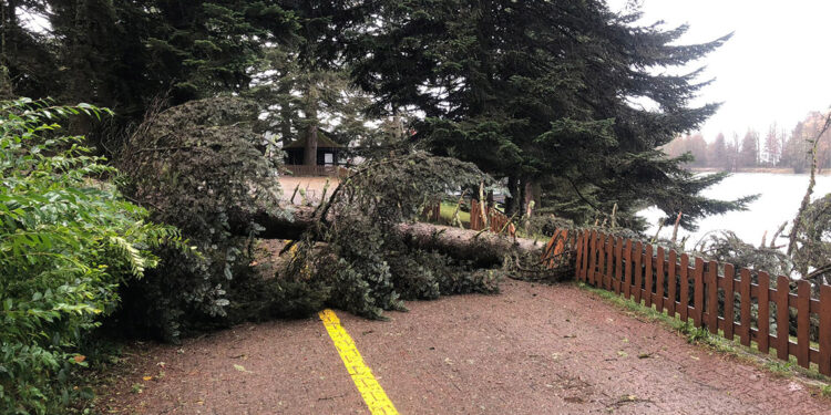 Ziyarete kapatılan Gölcük Tabiat Parkı açıldı