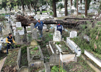 Zonguldak'ta fırtına; ağaçlar devrildi, mezarlar hasar gördü