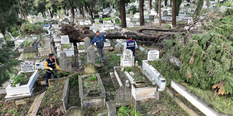 Zonguldak'ta fırtına; ağaçlar devrildi, mezarlar hasar gördü