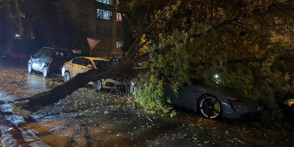Ankara'da kuvvetli rüzgar; ağaç otomobilin üzerine düştü
