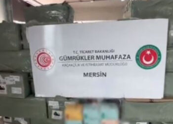 Mersin Limanı'nda 113 bin 250 adet kaçak elektronik sigara ele geçirildi